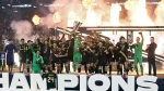 Mexico Conquers America and Wins the Gold Cup